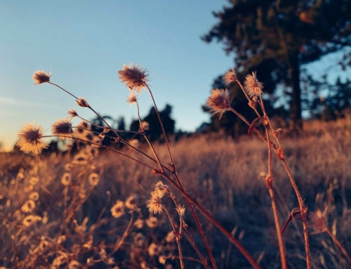 How the World Sees Your ADHD (and What God Says)
