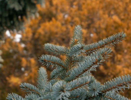 How to Deal with Anger When You’re Hurt