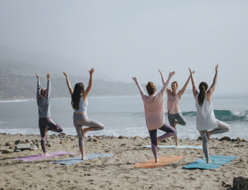 The Path to Mental Wellness