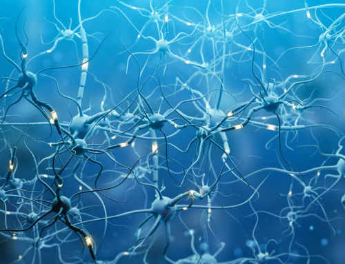 True Transformation: Rewiring the Brain with Healthy Thoughts